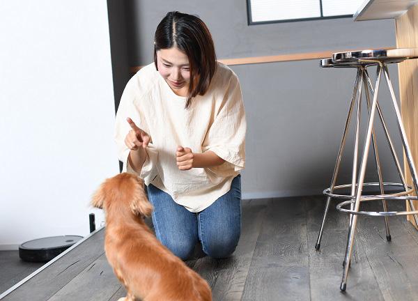犬の叱り方