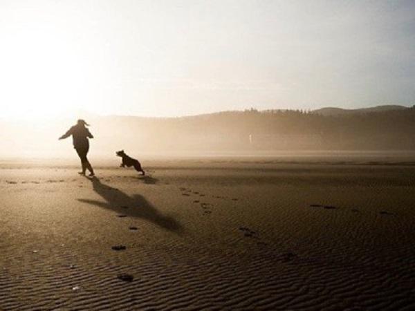 夕暮れに愛犬と走る飼い主