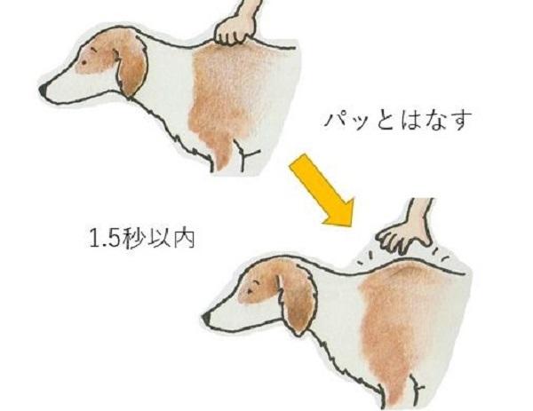 皮膚弾力確認方法