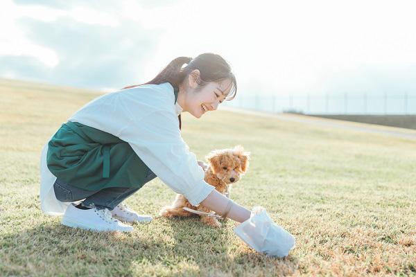 犬のうんちを拾う飼い主
