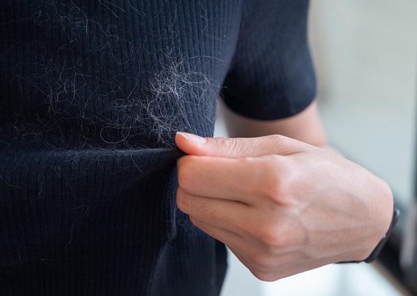 犬の毛が飼い主の服についている