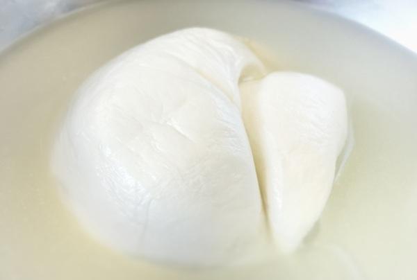 チーズイメージ