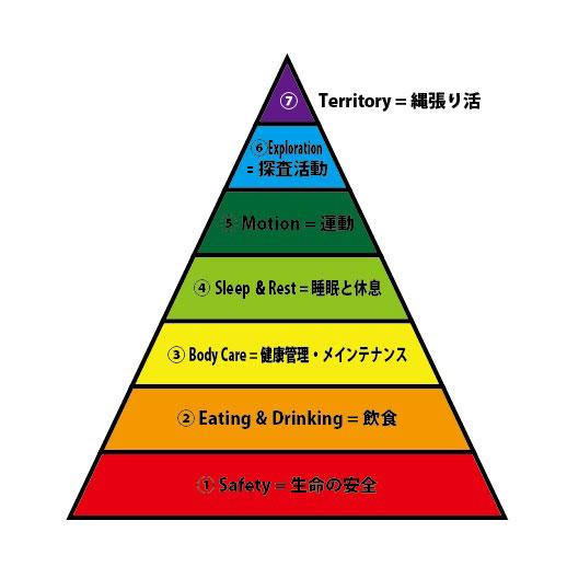 下から(1)生命の安全 (2)食事と水分 (3)健康管理・メンテナンス (4)睡眠と休息 (5)運動 (6)探査活動 (7)縄張り・社会活動 と積み上がった犬の欲求階層ピラミッドの図解