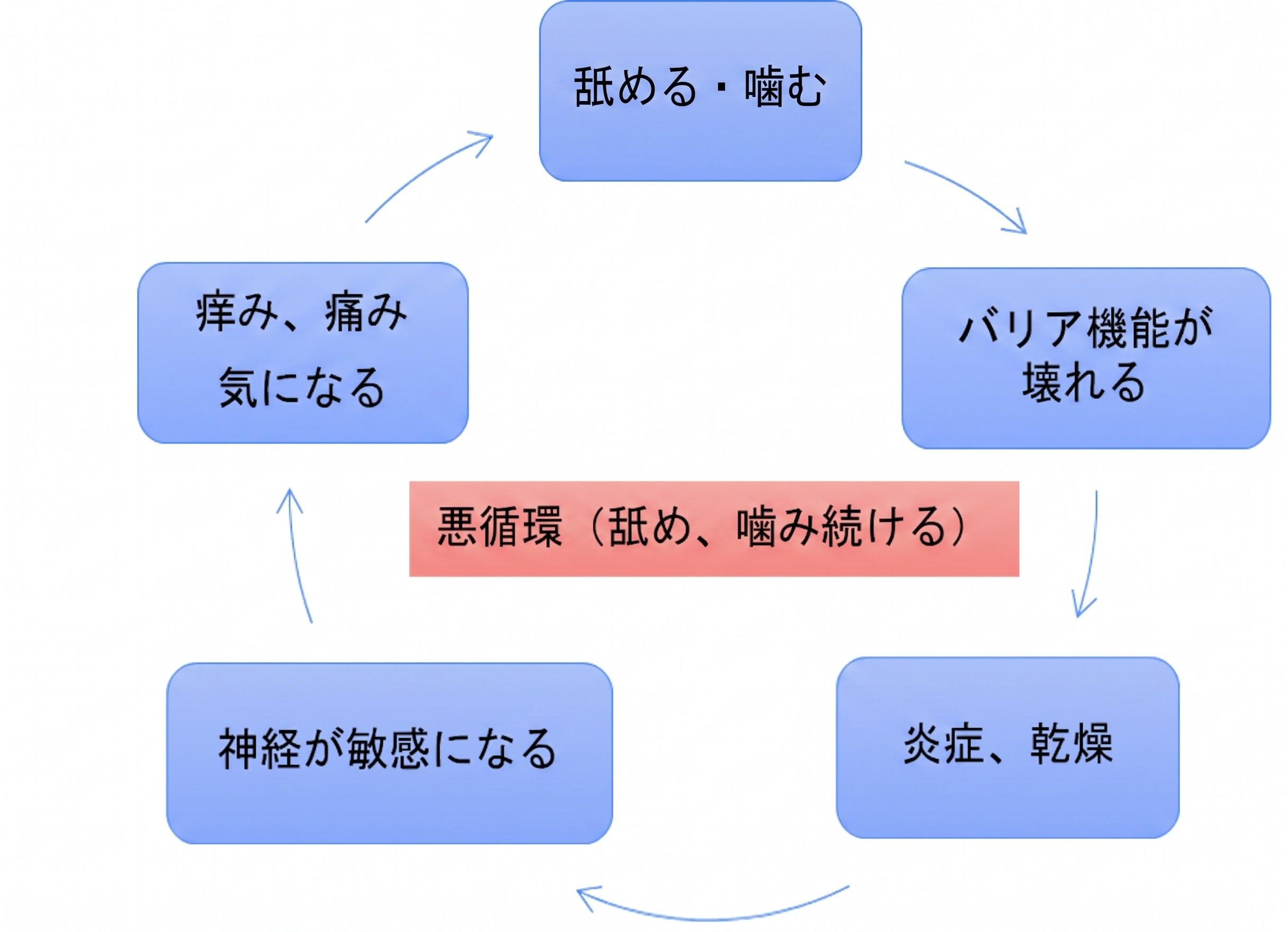 悪循環（舐め、噛み続ける）のサイクル図