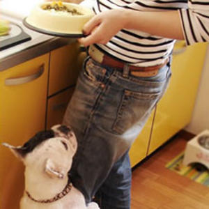 食べない悩みをスッキリ解決！