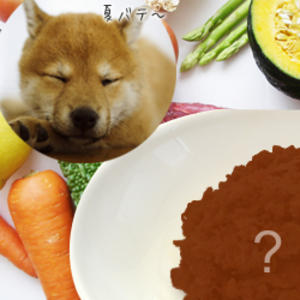 こんな症状は要注意！夏バテ対策に もってこい な魅惑のフード