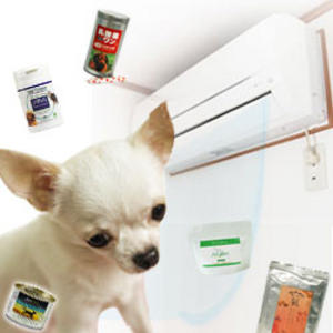 夏疲れ･暑さ疲れ じつは室内のアレが原因！？ まずは、胃腸をねぎらうこと から始めよう！