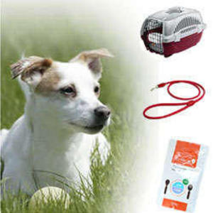 いざという時の防災対策