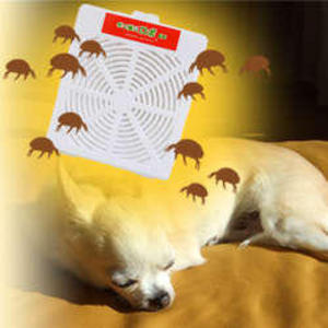 お部屋のダニをぐんぐん減らす「ダニ捕りROBO」で秋まで安心！