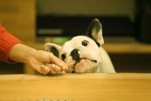 ＼いつものおやつにプラス1点／