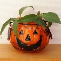 ハロウィンの楽しみ♪　かぼちゃ食べる？