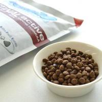 GREEN DOG & CATの食事療法食を紹介します