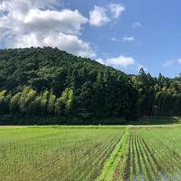 【連載コラム】「日々のあわい」（第5回）三年目の初夏の日