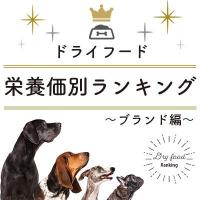 ドライフード栄養価別ランキング～ブランド編～