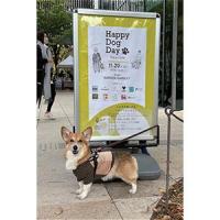 イベントレポート：「HAPPY DOG DAY」@代官山T-SITE　2022年11月20日