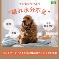 パートナー（愛犬）の水分量不足度チェック