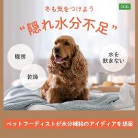 パートナー（愛 犬）の水分量不足度チェック