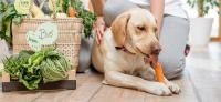 愛犬にも酵素？～酵素の種類と与え方（1）消化酵素編
