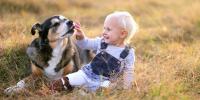 犬がオーナーや自分の体を舐めるのはなぜ？理由と辞めさせる方法を犬の行動学専門獣医師が解説！