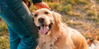 犬に好かれる人ってどんな人？すぐにマネできる３つの方法をご紹介