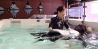 【第５回】犬アトピー性皮膚炎の犬と暮らす｜体液循環の促進