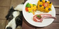 【最終回】犬アトピー性皮膚炎の犬と暮らす｜デトックス