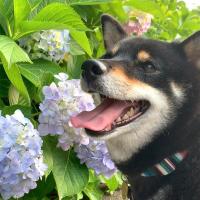 梅雨のお悩みスパッと解決！