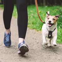 イベントレポート：「BAY WALK MARKET 2025」@横浜赤レンガ倉庫　2025年10月11日～13日