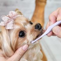 はじめよう！2026年を楽しむホームケア