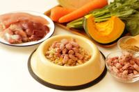 シニア犬（老犬）に必要な栄養素を獣医師が徹底解説！食事の工夫や気をつけたいこととは？ 