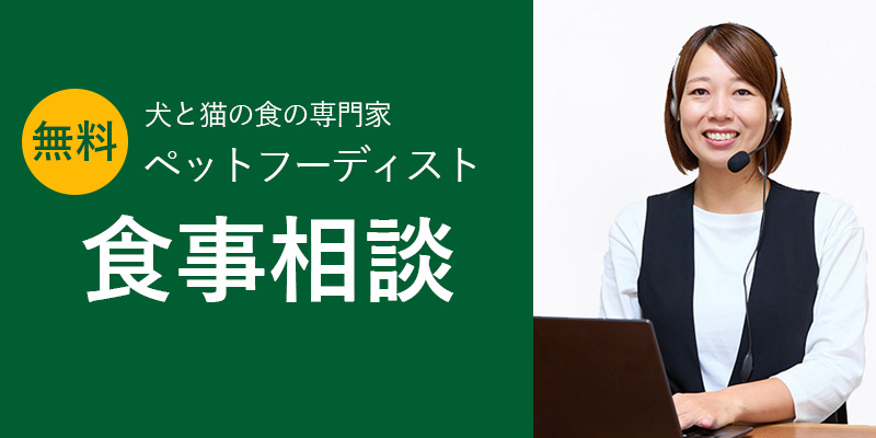 ごはんの窓口