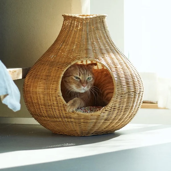 ガーリックネコハウス0