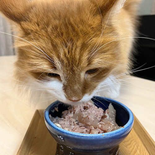 もぐもぐタイム