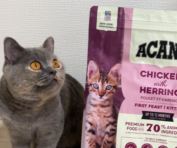 もぐもぐタイム