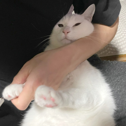 ラストイメージ