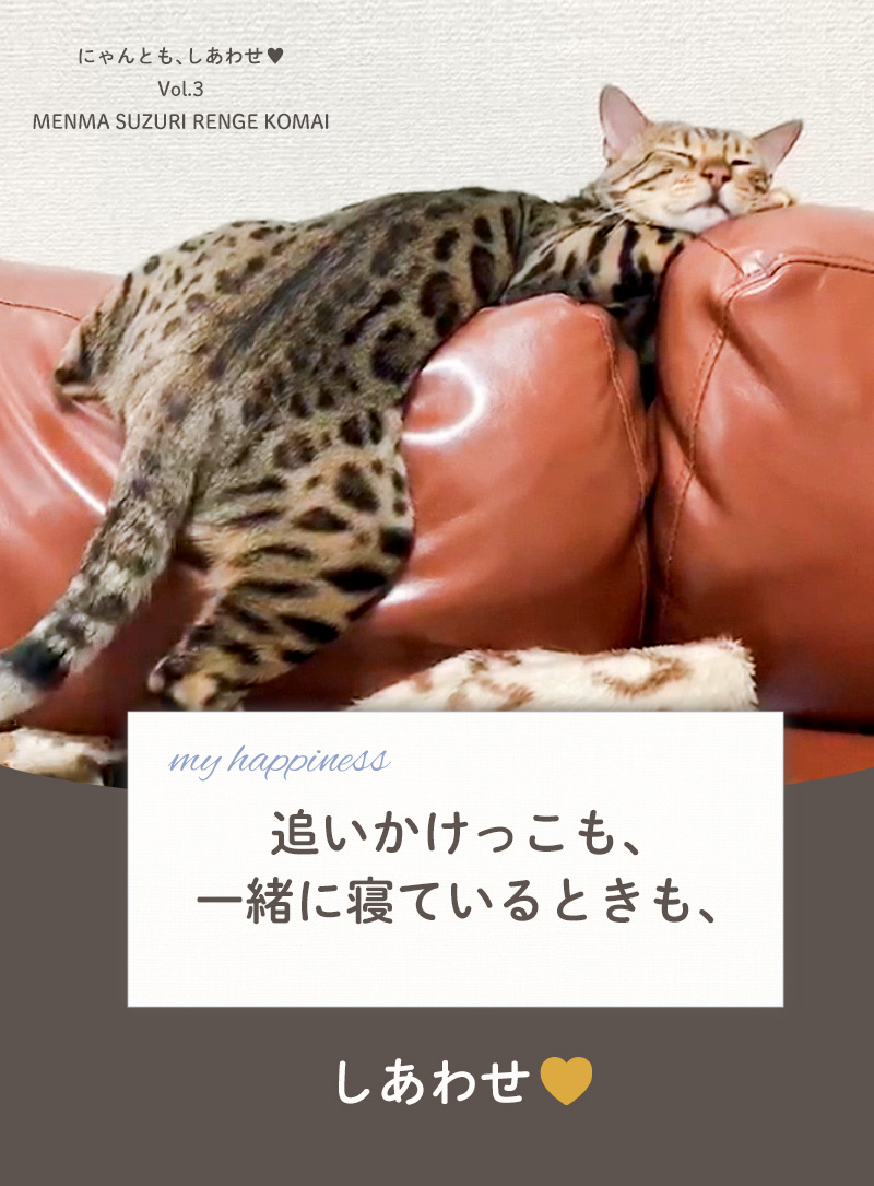 にゃんとも、しあわせ vol.3