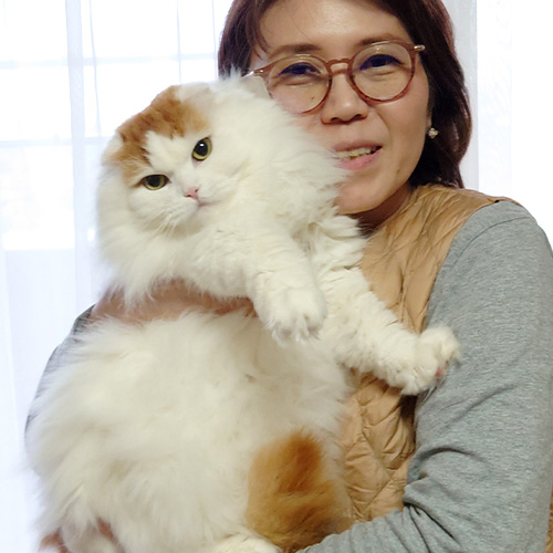 ラストイメージ