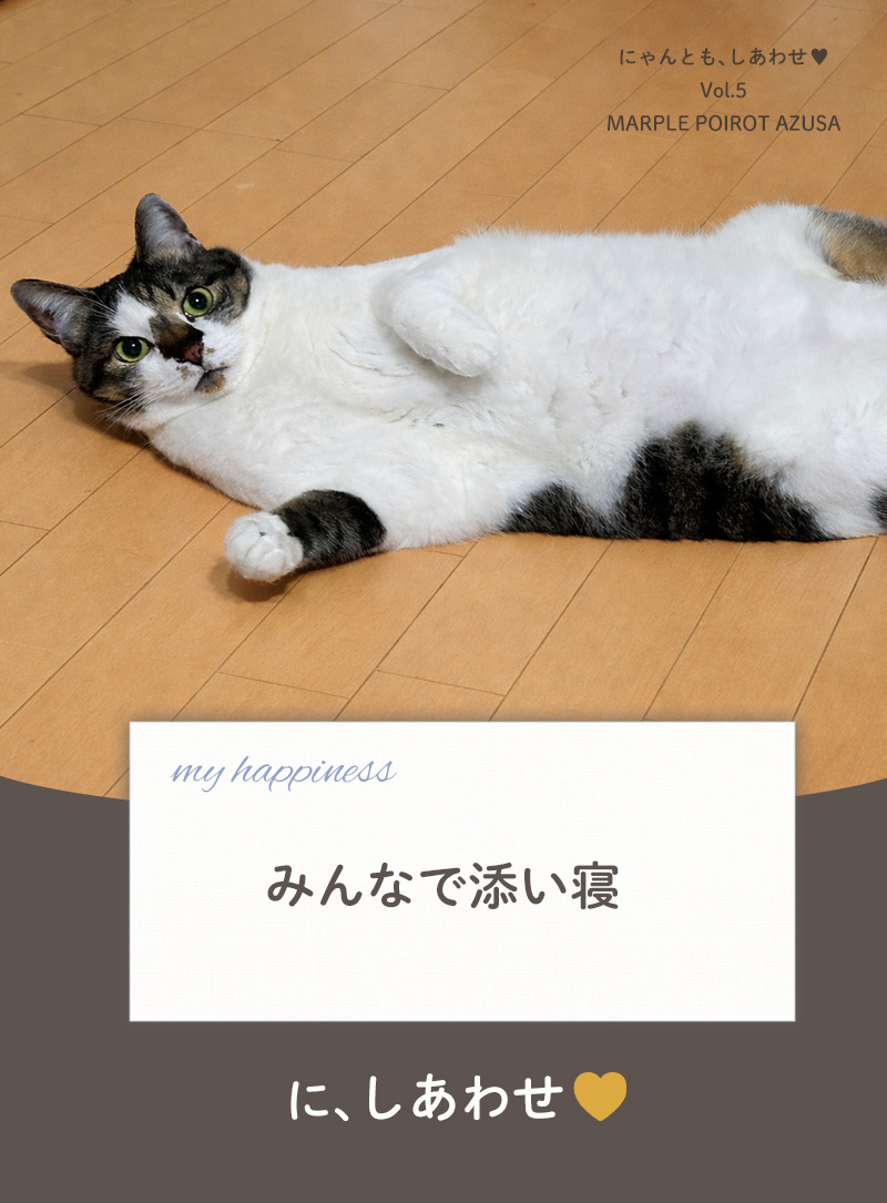 にゃんとも、しあわせ vol.5