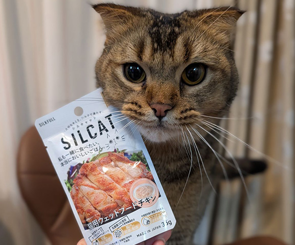 もぐもぐタイム