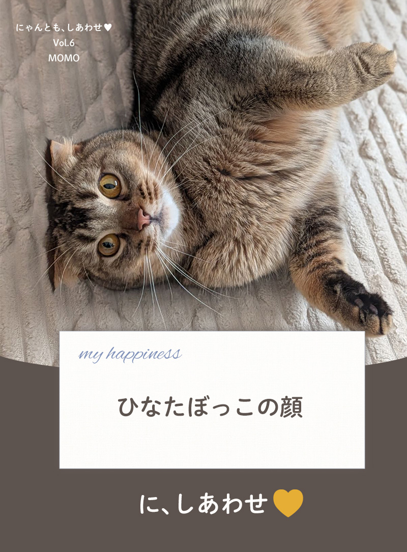 にゃんとも、しあわせ vol.6