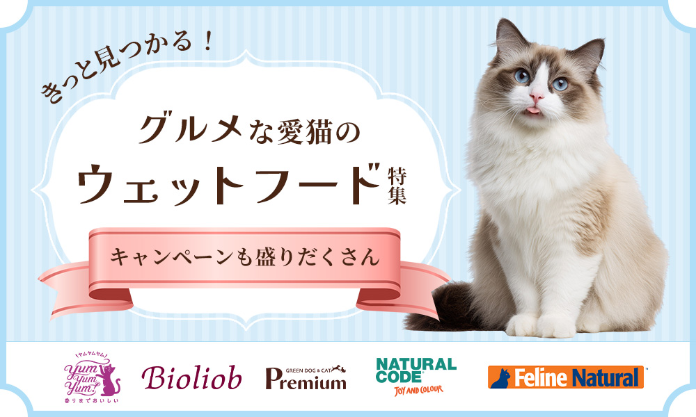 「きっと見つかる！」グルメな愛猫のウェットフード特集