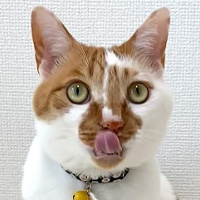 こんなパートナーにおすすめ