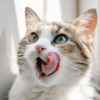 こんなパートナーにおすすめ