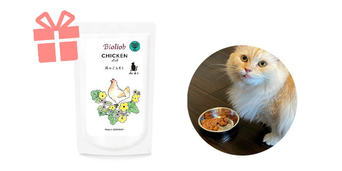 チキンディッシュ