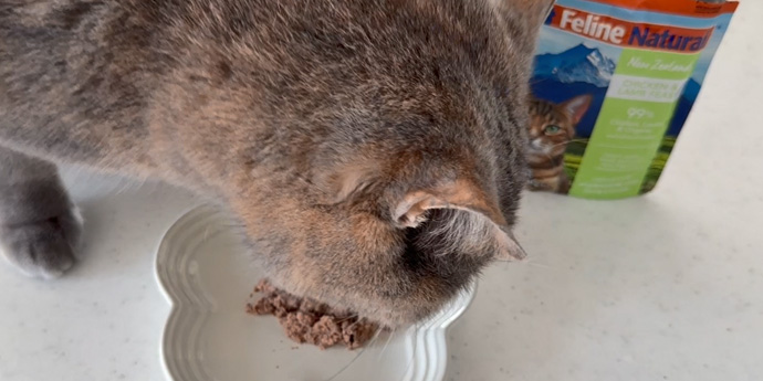 フィーラインナチュラルイメージ