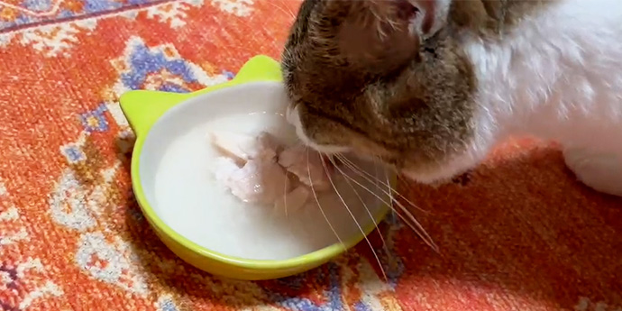 プレミアムイメージ