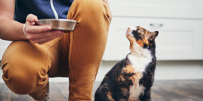 ナチュラルコードイメージ