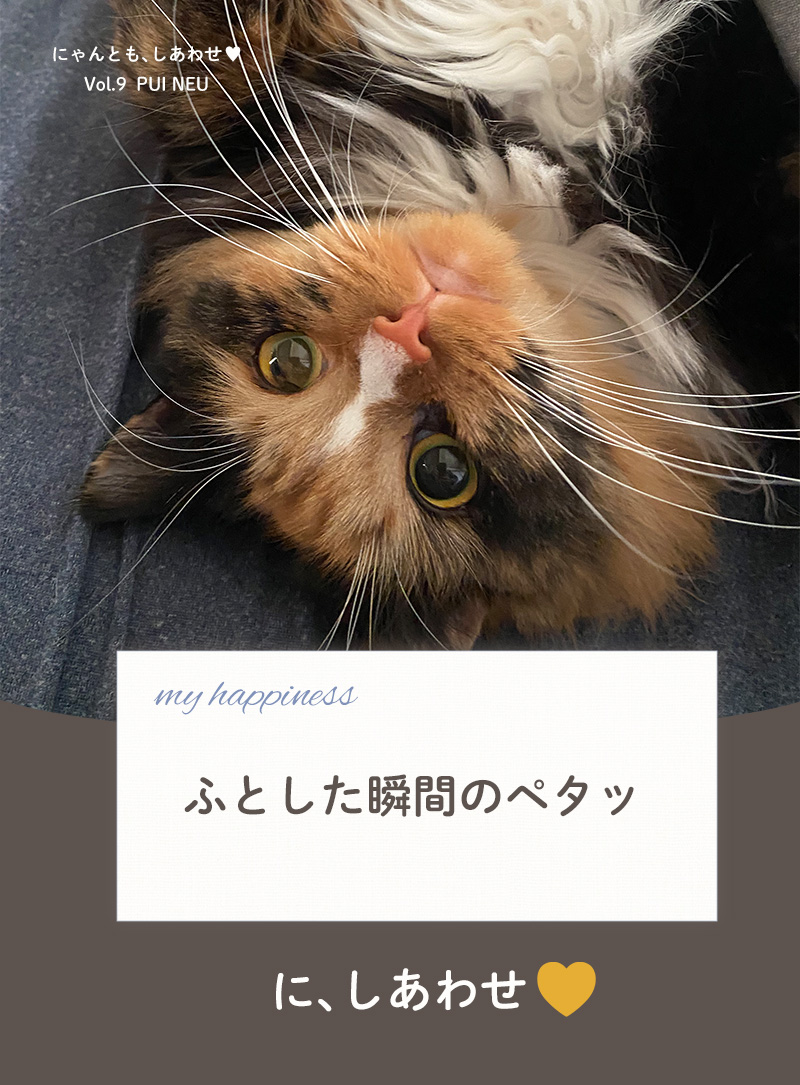 にゃんとも、しあわせ vol.9