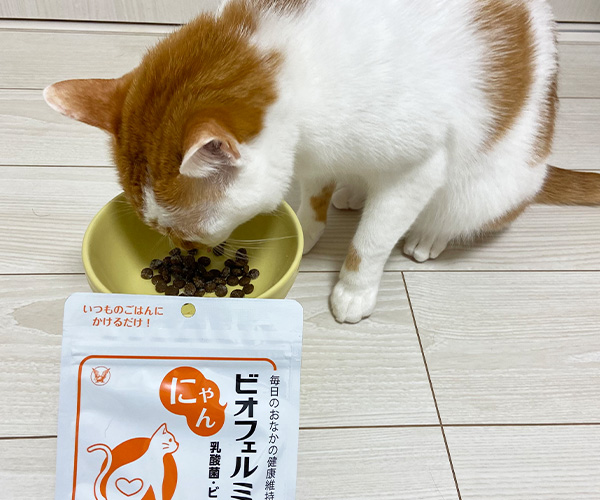 もぐもぐタイム