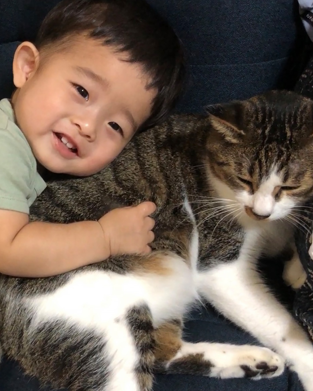 愛猫写真館